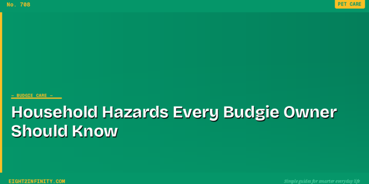 Household Hazards Every Budgie Owner Should Know