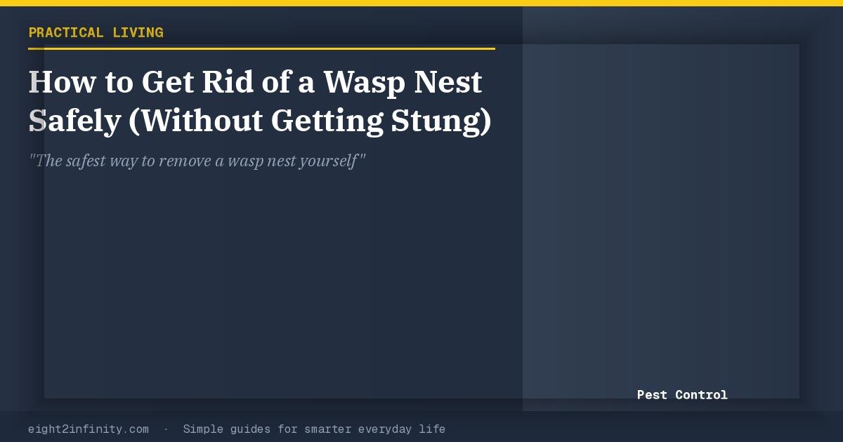 How to Get Rid of a Wasp Nest Safely (Without Getting Stung) 2
