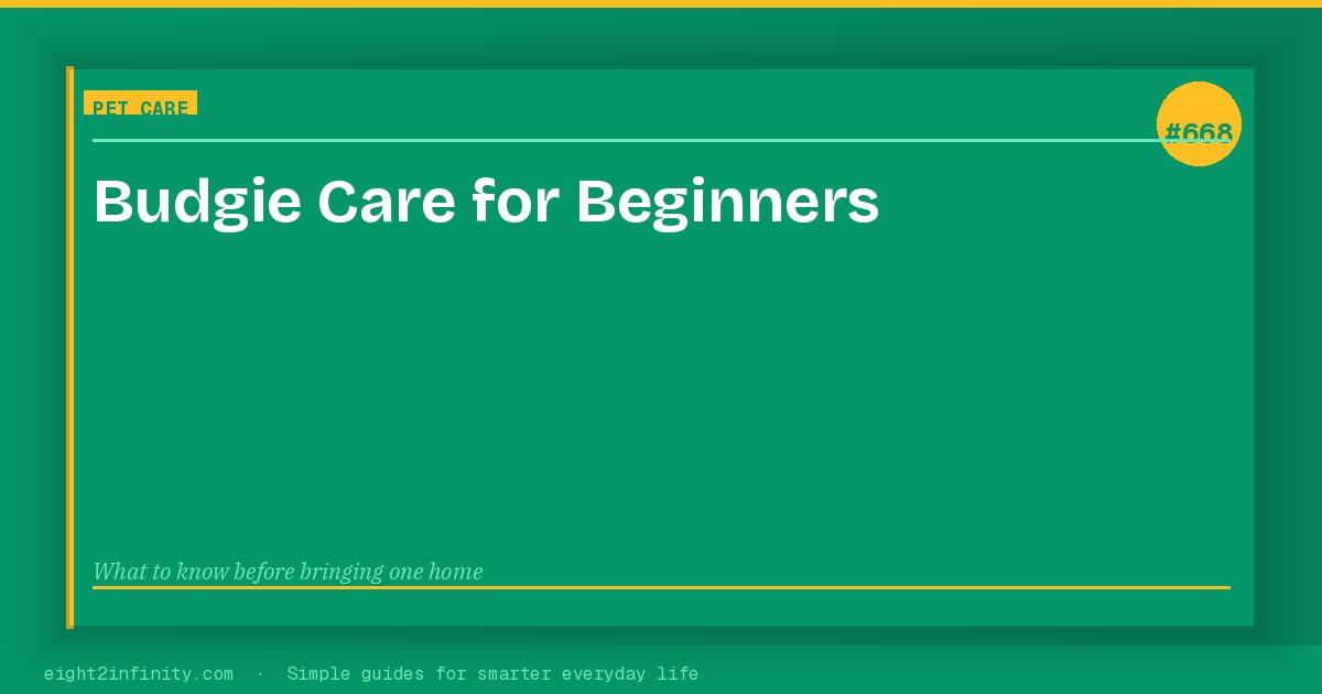 Budgie Care for Beginners: Everything You Need Before You Bring One Home 3